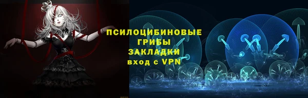крисы Алзамай