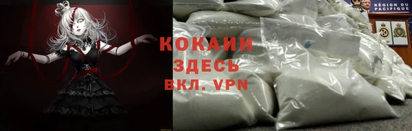 spice Алексин