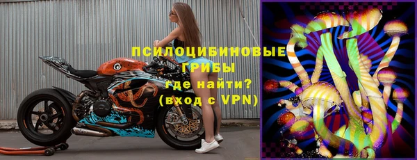 ГАЛЛЮЦИНОГЕННЫЕ ГРИБЫ Алексеевка