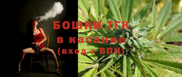 spice Алексин