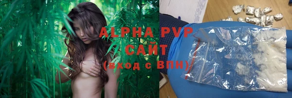 ГАЛЛЮЦИНОГЕННЫЕ ГРИБЫ Абаза
