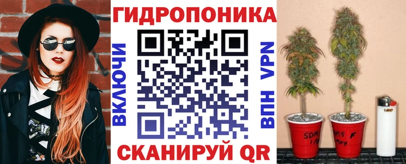 Каннабис Bruce Banner  где можно купить наркотик  Гдов 